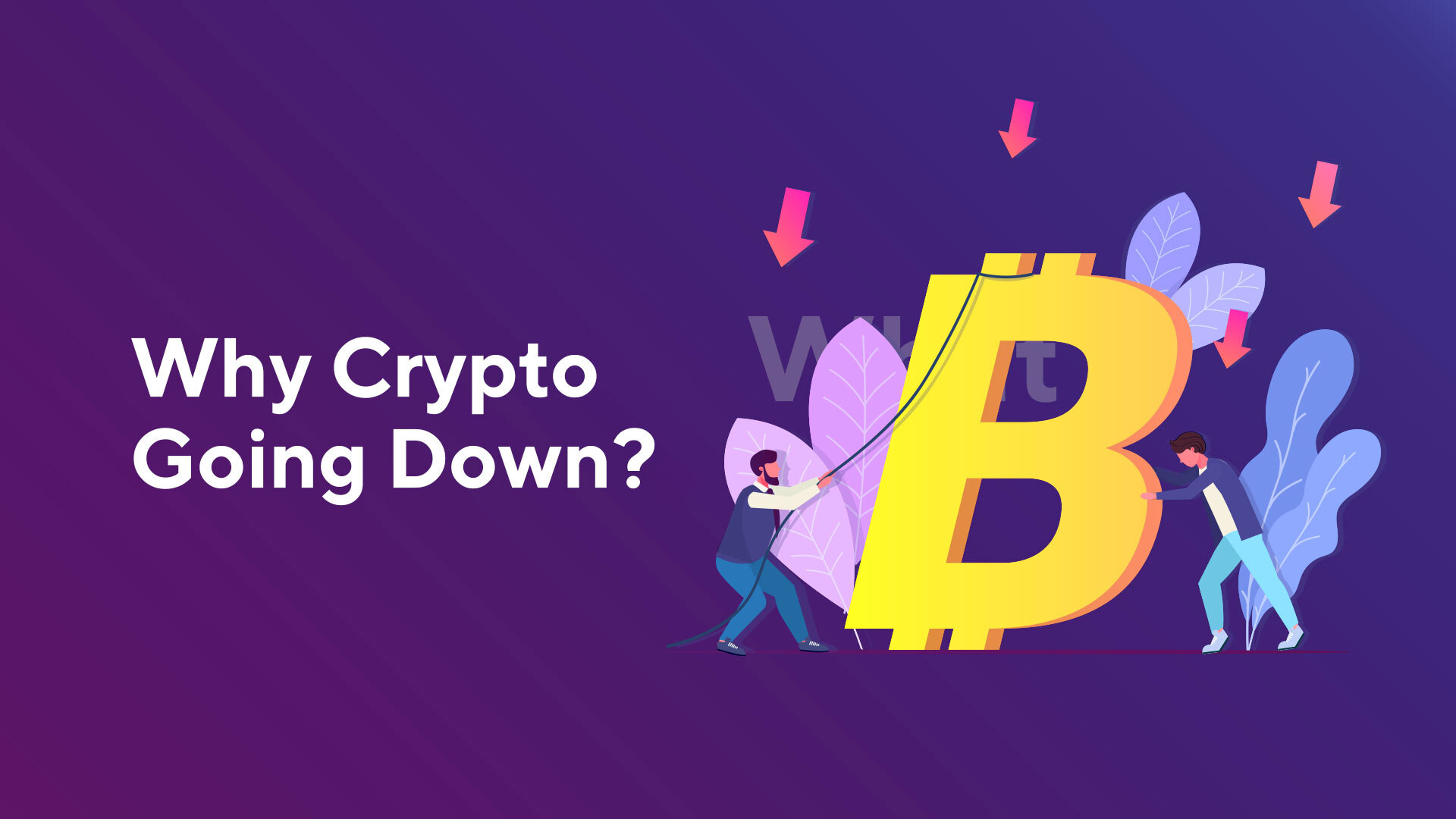 why all cryptos are going down