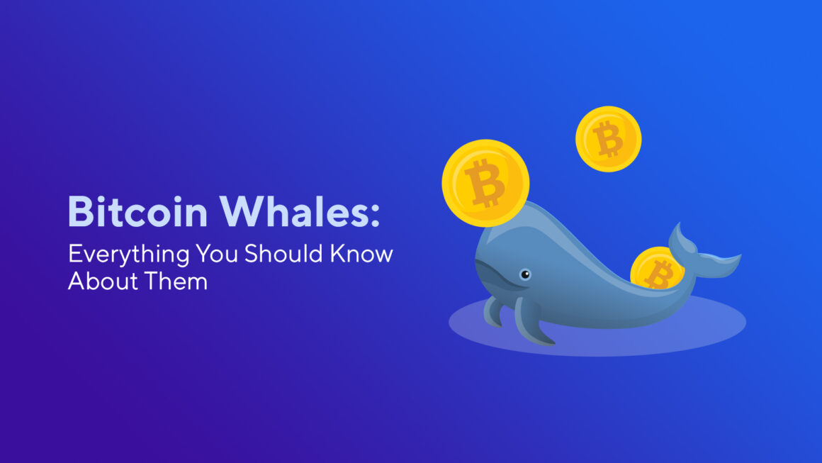 Bitcoin Whales: Everything You Should Know About Them