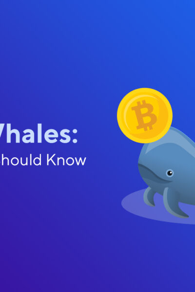 Bitcoin Whales: Everything You Should Know About Them
