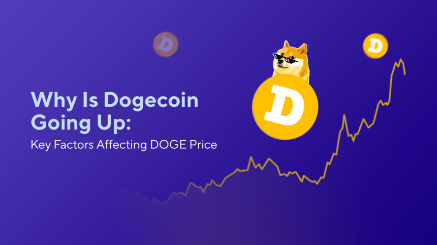 Why Is Dogecoin Going Up: Key Factors Affecting DOGE Price