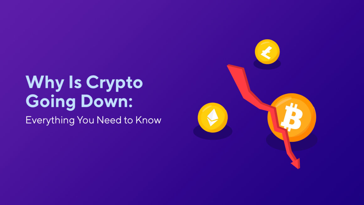 Why Is Crypto Going Down: Everything You Need to Know
