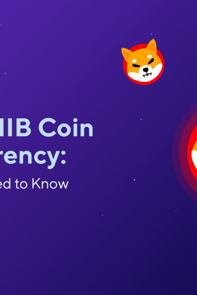 What Is SHIB Coin Cryptocurrency: Everything You Need to Know