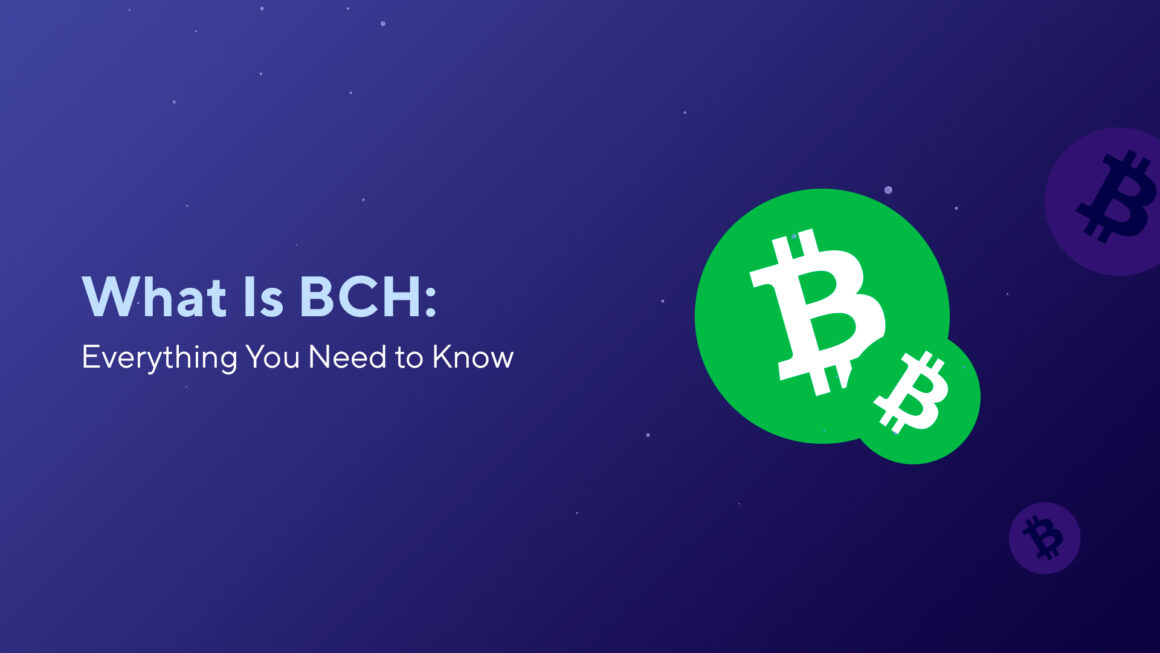 What Is BCH: Everything You Need to Know