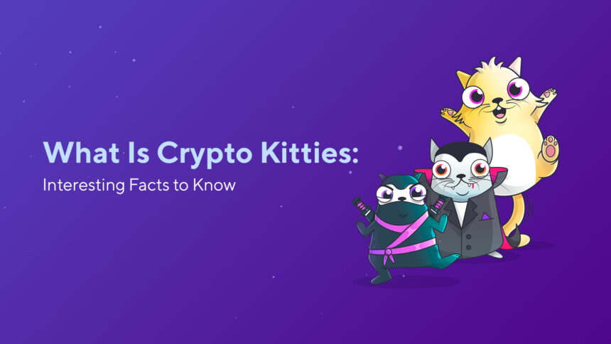 What Is Crypto Kitties: Interesting Facts to Know