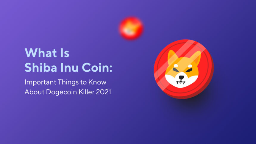 What Is Shiba Inu Coin: Important Things to Know About Dogecoin Killer 2023
