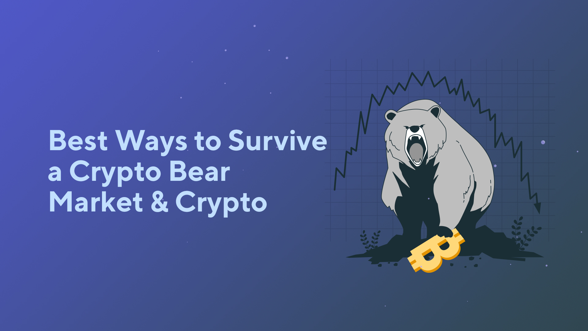 Best Ways to Survive a Crypto Bear Market & Crypto Winter