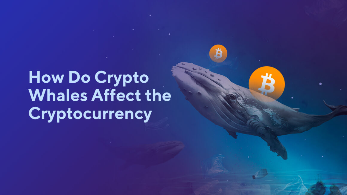 How Do Crypto Whales Affect the Cryptocurrency Market?