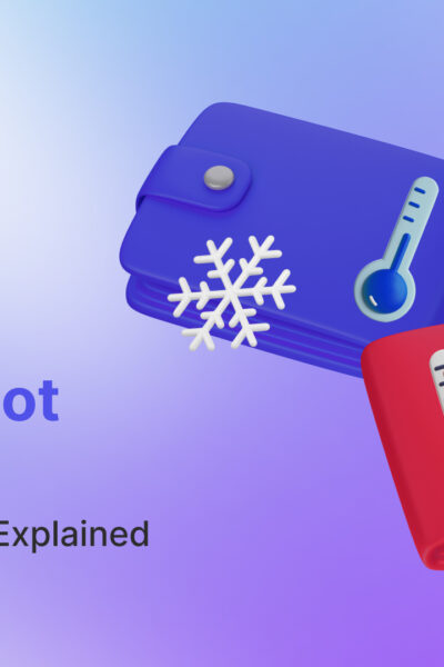 Cold vs. Hot Wallets: Key Differences Explained