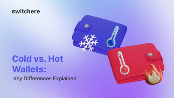 Cold vs. Hot Wallets: Key Differences Explained